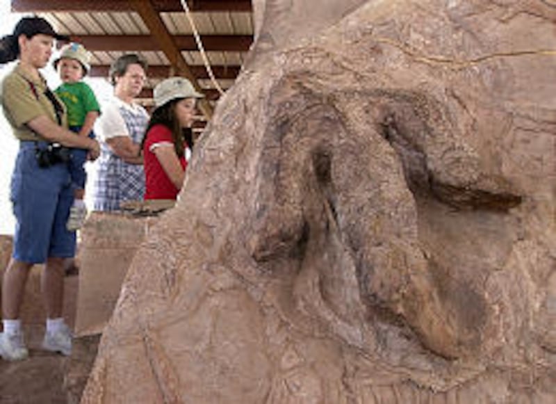 Visitors look at dinosaur track imprints at the family farm of Dr. Sheldon Johnson in St. George.