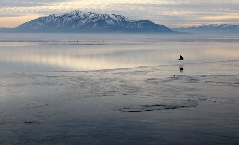 Birds land on Utah Lake near Utah Lake State Park in Provo on Jan. 13, 2022.
