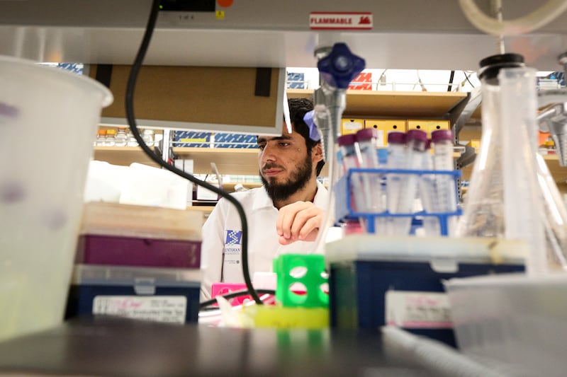 Mehraj u Din Lone works in the research lab of the Huntsman Cancer Institute on the University of Utah campus in 2017.