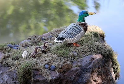 Ducks are some of Sean Kenney's Lego sculptures on display at Red Butte Garden in Salt Lake City on Wednesday, May 30, 2018.