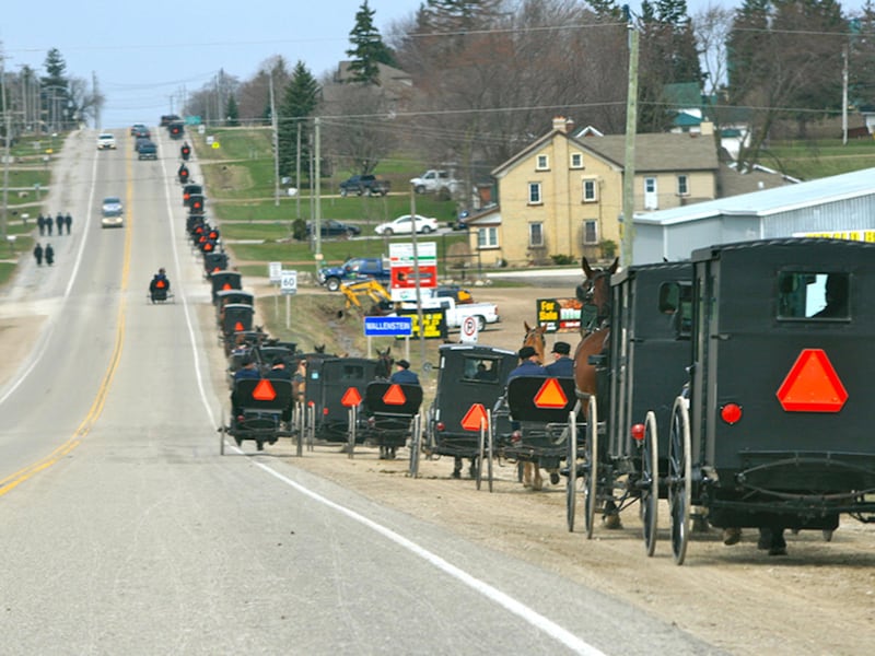 Buggies head toward home after a Mennonite service.