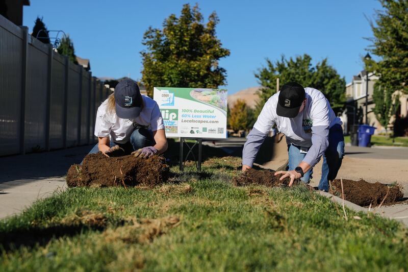 Candice Hasenyager and Brian Steed, executive remove sod from a parking strip in Herriman, Utah.
