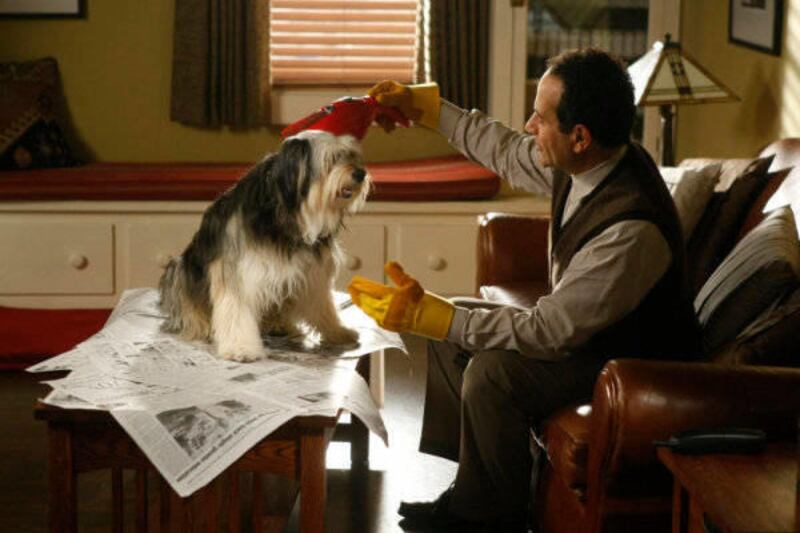 Monk, played by Tony Shalhoub, is a detective who struggles with mysophobia and an obsessive compulsive disorder. However, it is more so because of these disorders than despite them that he is able to solve complex cases. More and more TV shows are portra