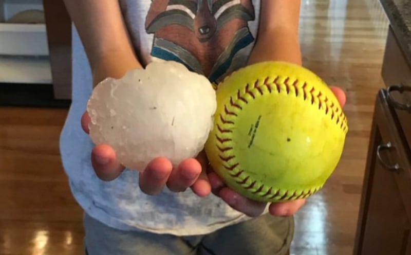 A hail storm at Cheyenne Mountain Zoo in Colorado Springs, Colorado, left 14 people injured and two zoo animals dead on Monday afternoon.