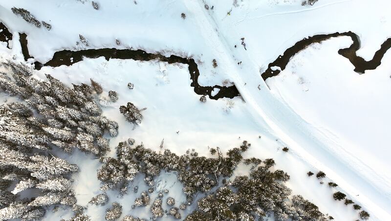Snow blankets Big Cottonwood Canyon on Jan. 15, 2024.