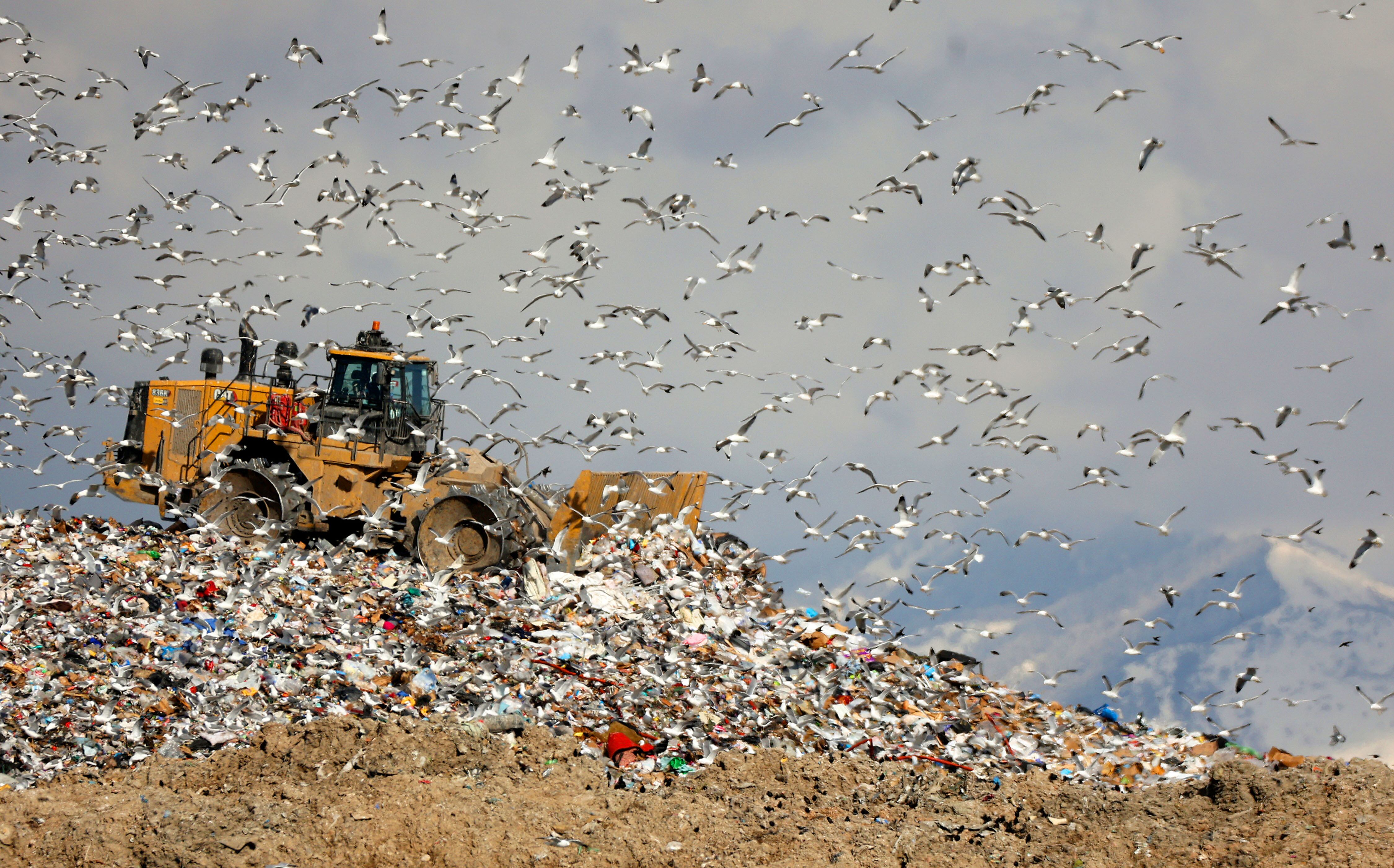 Ranking shows Utah has a handle on its garbage - Vimarsana News