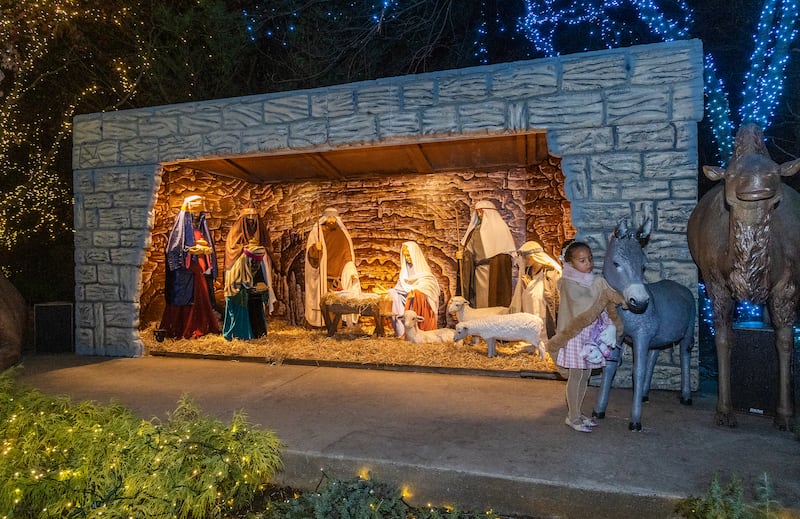 Azaria Prince, 5, looks at a donkey in the nativity scene at the Washington D.C. Temple on Tuesday, Nov. 29, 2022.