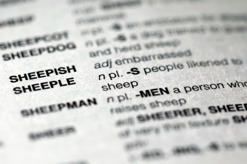 The word sheeple appears in the new edition of Merriam Webster’s “Official Scrabble Players Dictionary,” in New York, Thursday, Sept. 20, 2018. It is among more than 300 additions in the latest edition.