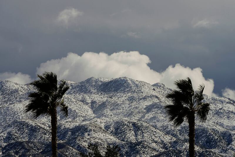 Two palms trees are backdropped by snow-covered mountains in Hesperia, Calif.