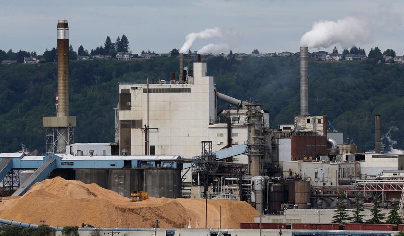 Piles of wood chips are shown sitting near the RockTenn paper mill in Tacoma, Wash.