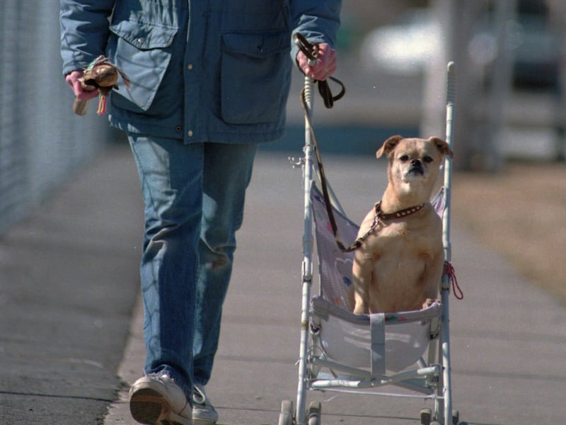 Marilynn Johnson takes her dog “Pumpkin” for a ride in a stroller on March 2, 1995,