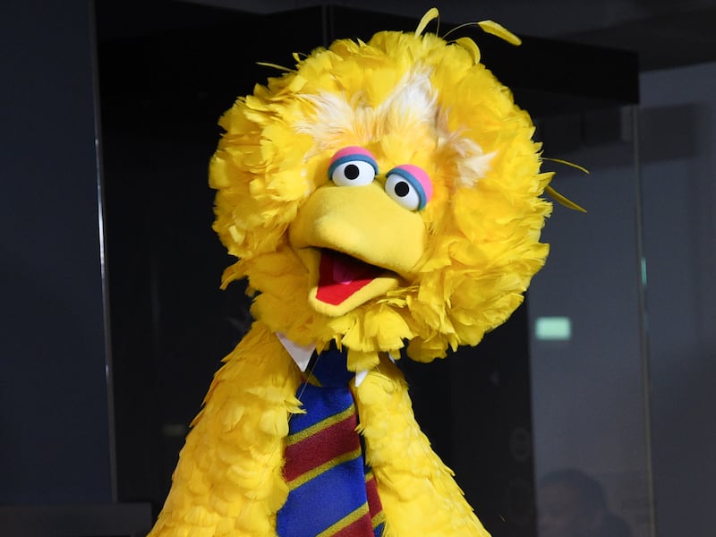 Big Bird attends Sesame Street’s 50th anniversary.