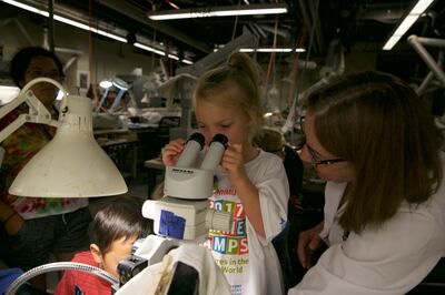 A Natural History Museum of Utah Summer Camp “junior detective” peers through a high-powered microscope in the museum’s fossil lab to look for clues as to why a dinosaur died.