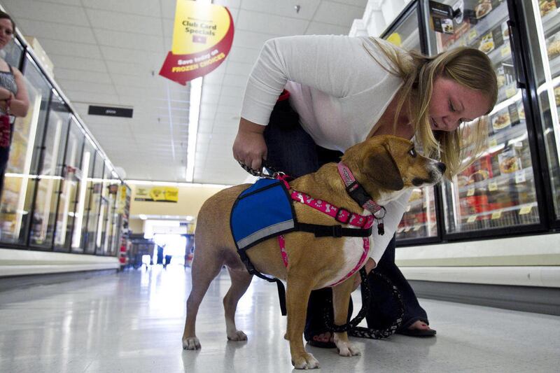 In this Dec. 27, 2010 photo, Nicole Beck, of Apache Junction, works with her service dog, 3-year-old Dixie, as part of training by the American Service Animal Society, in a Safeway store in Mesa, Ariz. Gerad Claseman, president of the service animal group