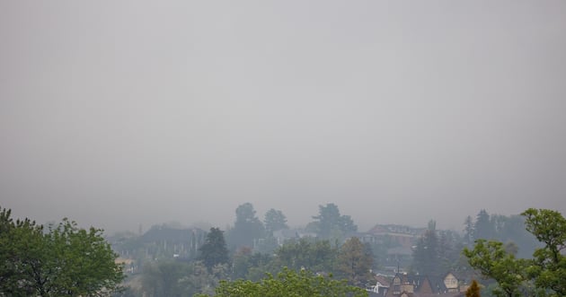 When wildfire smoke and rain collide, it may fall as fertilizer, Utah study finds