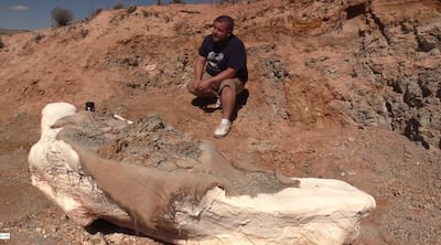 David Rankin, of Big Water, Kane County, discusses his discovery of mammoth bones two years ago near Lake Powell. The bones are now encased in burlap and plaster "jackets" applied last fall by a team of volunteers from the Natural History Museum of Utah.