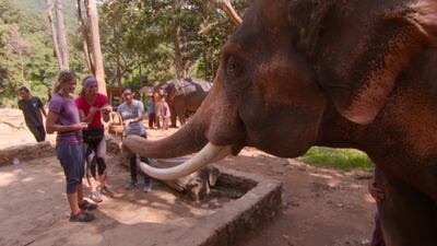 Kristi Leskinen, left, and Jen Hudak prepare to take measurements of an elephant in Chiang Man, Thailand, during a two-hour episode of "The Amazing Race" on Wednesday, Feb. 14, 2018.