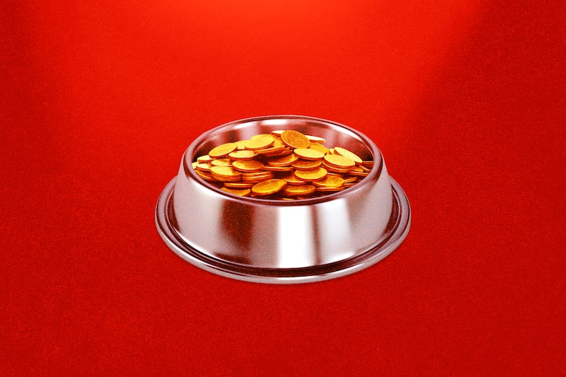 A dog bowl with coins symbolizing the Dogecoin cryptocurrency.