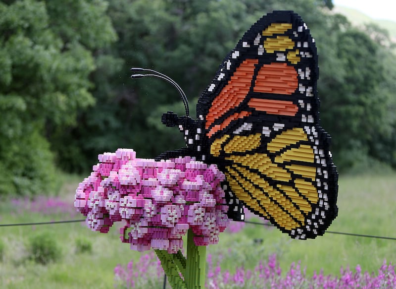 A butterfly is one of Sean Kenney's Lego sculptures on display at Red Butte Garden in Salt Lake City on Wednesday, May 30, 2018.