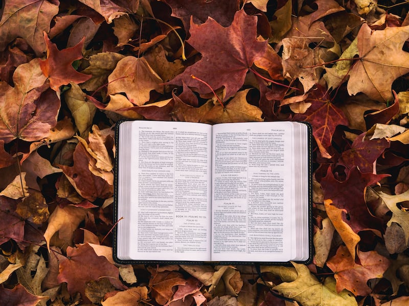 A Bible is pictured on a bed of leaves.