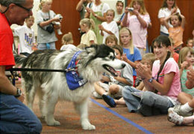 Su gets a round of applause during a visit with children at the South Jordan Library. Su and her friends, Pixie and Sorrel, were part of a presentation about sled dogs.
