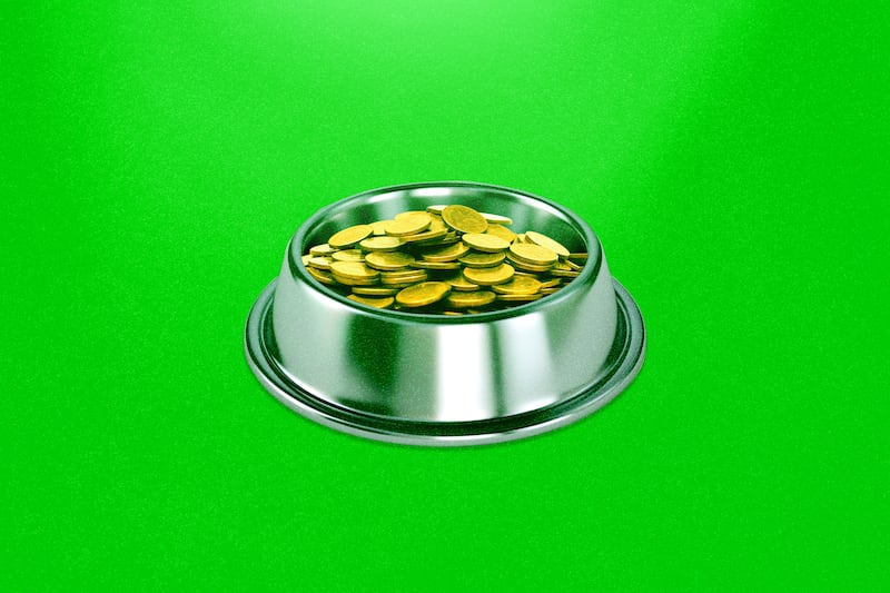 An illustration of coins in a dog bowl.