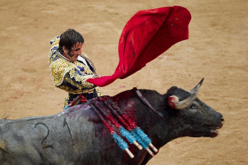FILE - Spanish bullfightrer Juan Jose Padilla performs during a bullfight at the San Fermin fiestas in this July 10, 2011 file photo taken in Pamplona, Spain. Padilla is recovering following a five hour operation to repair his face after a savage goring d