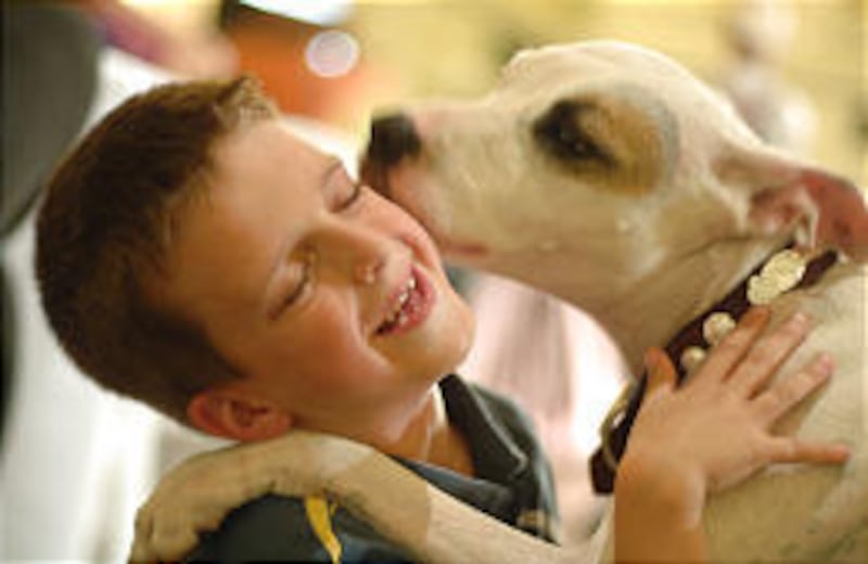 Eddie McDougal plays with Piglet, the pit bull star of "Dog Jack."