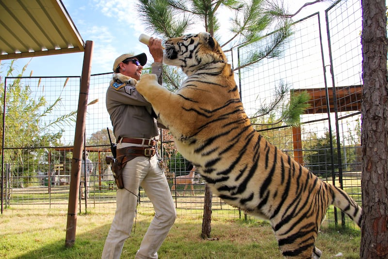 Joe Exotic, a big game breeder, from “Tiger King: Murder, Mayhem and Madness”