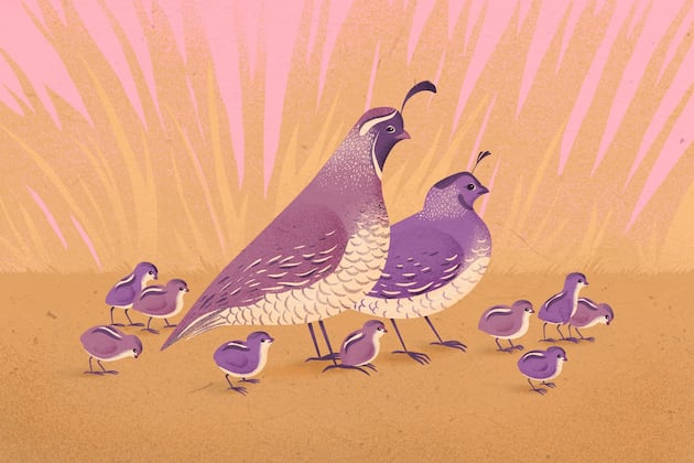 Family policy for ’26 has a lot to do with money — and how you could have more