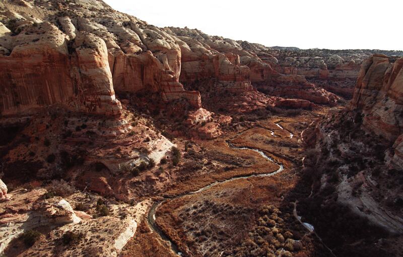 Escalante Grand Staircase National Monument. photos by Ravell Call Dec. 1996