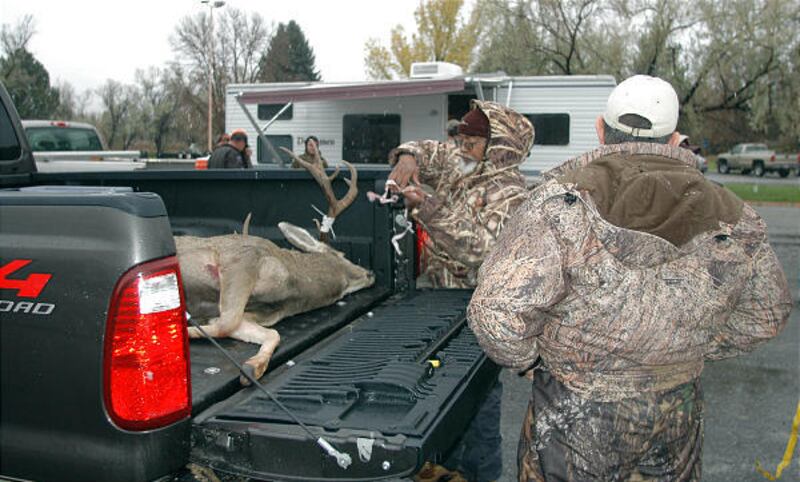 Deer hunters stop at a Division of Wildlife Resources checkpoint.