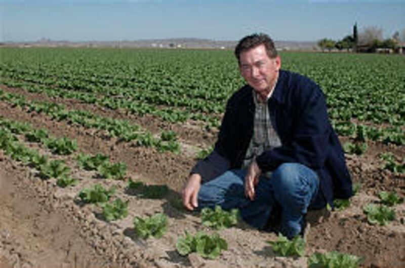 Paul Muthart, general manager of Pasquinelli Produce Co., kneels in a field near Yuma, Ariz. He fears a proposed spur line by Union Pacific could mean up to 90 trains a day traveling near his property.