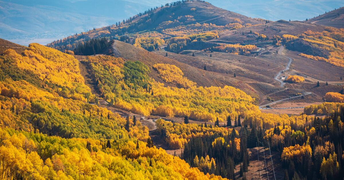 Where to find when Utah's colorful trees will peak? – Deseret News