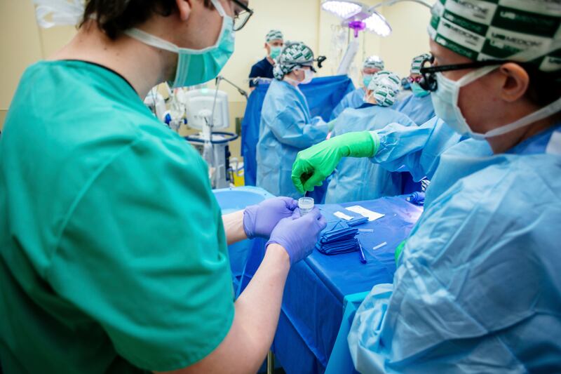 Medical researchers collect a kidney biopsy during the transplant of a pig’s kidney into a donated body on Feb. 15, 2023.