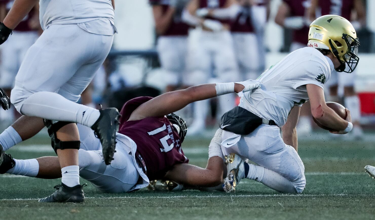 High school football Pine View demolishes Snow Canyon in 4A semifinals
