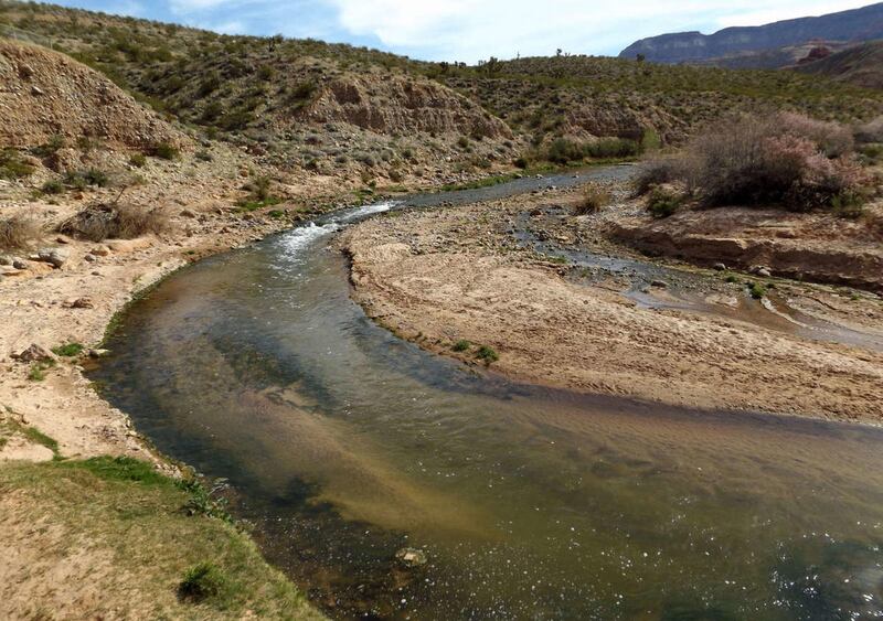 The Virgin River in Washington County March 19, 2015.