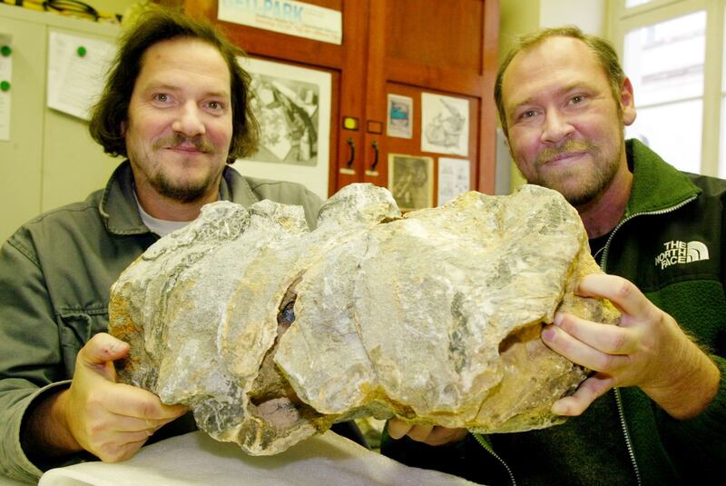 German palaeontologists Eberhard Frey and Wolfgang Stinnesbeck hold a spinal fragment from a pliosaur.