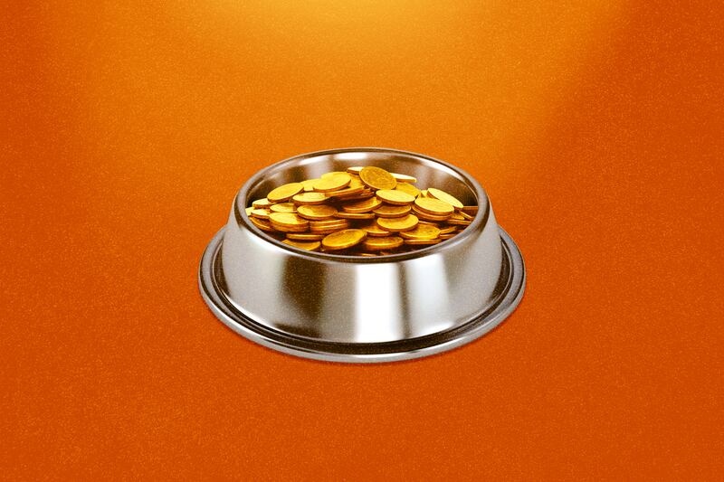 A bowl of coins meant to represent dog-based meme cryptocurrencies.