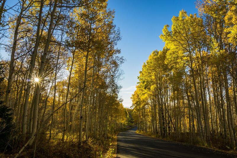 Road view of Wasatch Mountain State Park