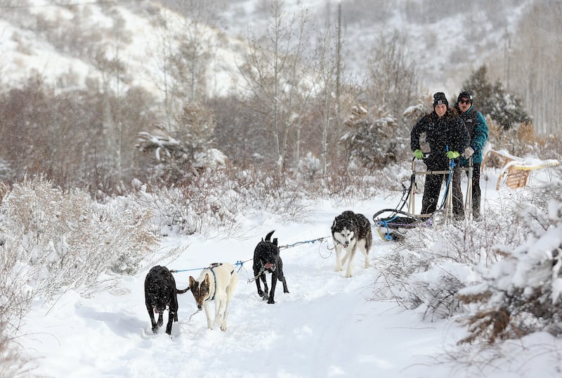 Heather, Pfister, Tornado and Bruce Wayne pull Olivia Vigliotti, musher, and Luna Lobos Dog Sledding owner Dana Ramirez at Rancho Luna Lobos in Peoa, Utah, on Jan. 11, 2024.