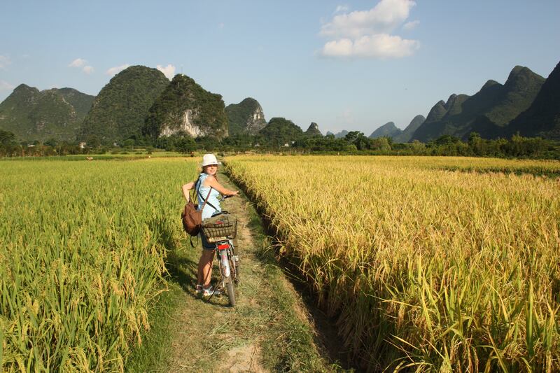 A tourist pauses while cycling in China's countryside rice fields of Yangshou.