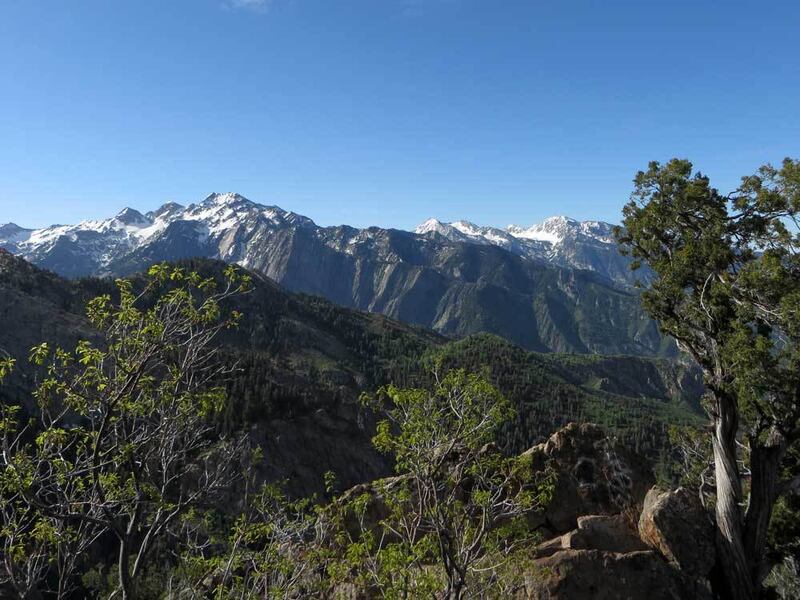 This view, looking south, shows some of the prominent peaks of the Cottonwood canyons: Dromedary, Sullivan and the Broads Fork Twin Peaks at left; Lone Peak at the right.
