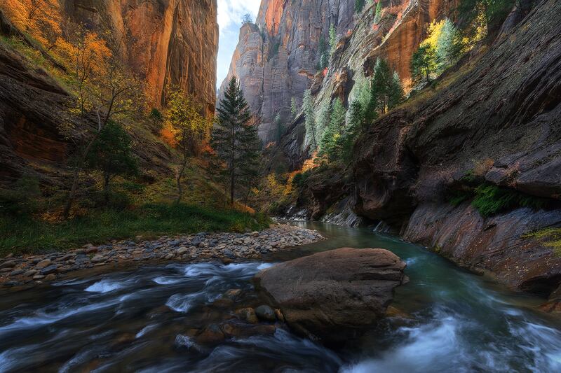"Flourishing Life," by Eric Bennett. "A rarely visited section of The Narrows in Zion National Park, one of Utah's most beloved and visited parks, illuminated by morning light and decorated in a colorful array of autumn foliage," Bennett wrote. "Fall is m