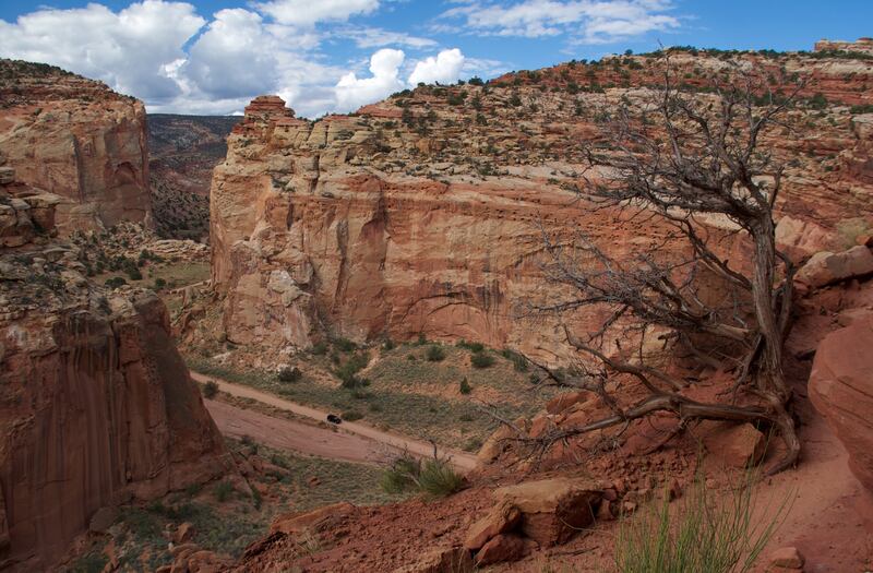 With dramatic cliffs and some of the state’s most rewarding hikes, Capitol Reef is worth more time than many travelers give it.
