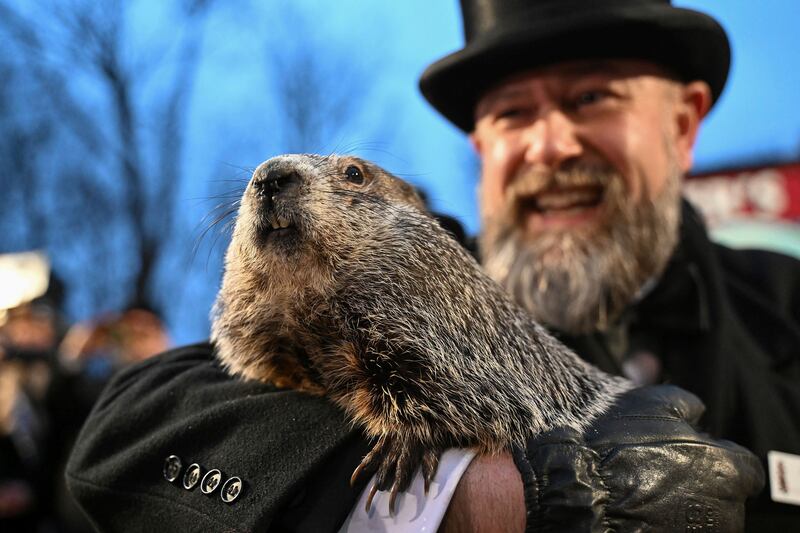 Punxsutawney Phil, the weather prognosticating groundhog, has forecast an early spring in 2024.