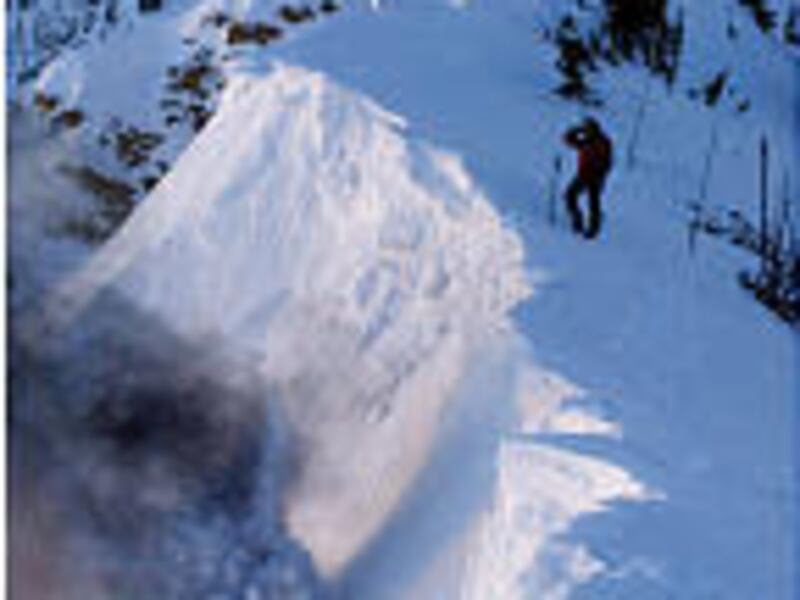 Snowbird ski patrolman Dean Cardinale watches as a hand charge explodes above Mineral Basin at Snowbird early in 2004.