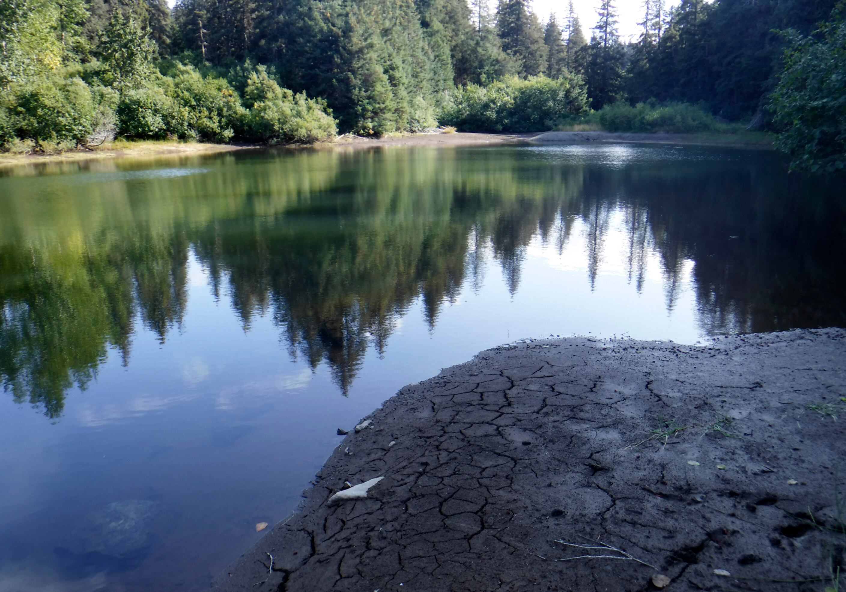 Orange Alaskan rivers: What to know about the phenomenon – Deseret News - Vimarsana News