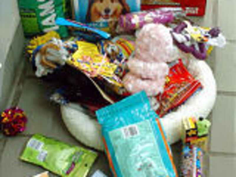 For her 13th birthday, Laura Gifford asked her friends to give gifts suitable for donating to animal shelter.