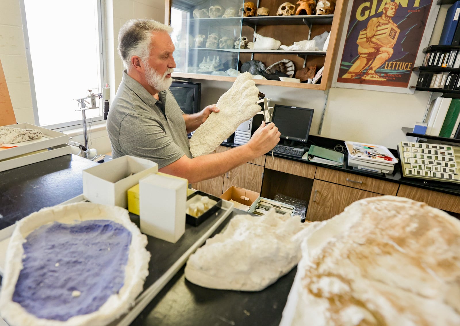 Jeffrey Meldrum, a professor of anatomy and anthropology who has been researching a publishing studies on Sasquatch for decades, measures a footprint at Idaho State University.